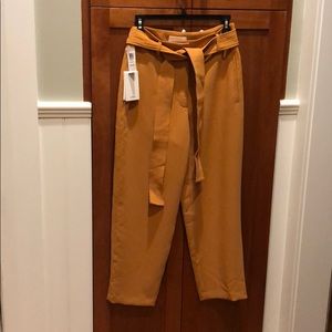 Brand new, never worn Wilfred “Jallade” pants.